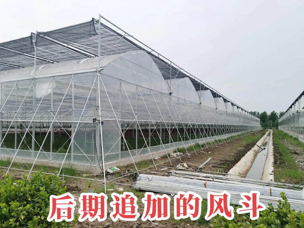 探訪京東農(nóng)業(yè)科技園 風斗連棟薄膜大棚如何以技術創(chuàng)新賦能現(xiàn)代農(nóng)業(yè)